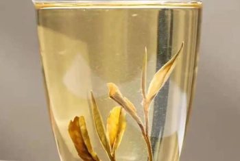 eff4b595-f280-43dd-8699-ed2273e0f3bc.png_500xa